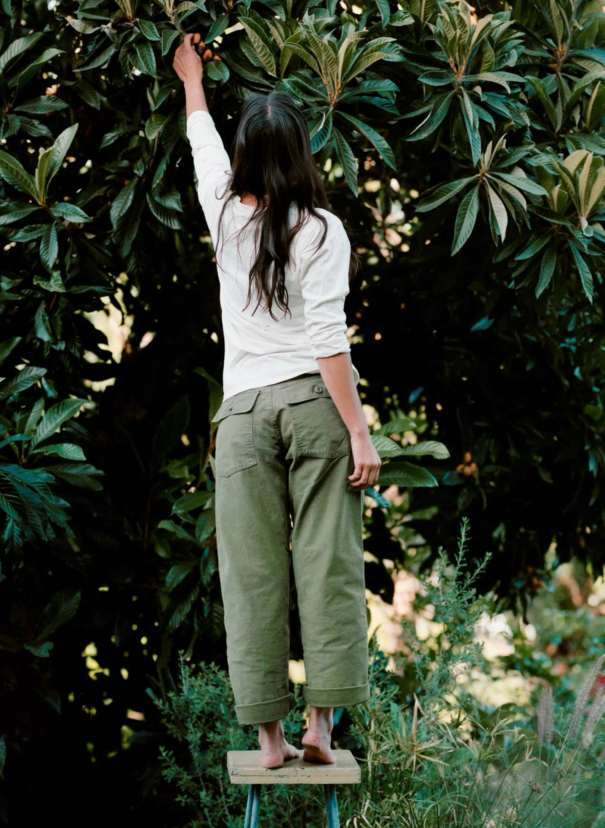 imogene + willie Blake Military Trouser In Olive Hot