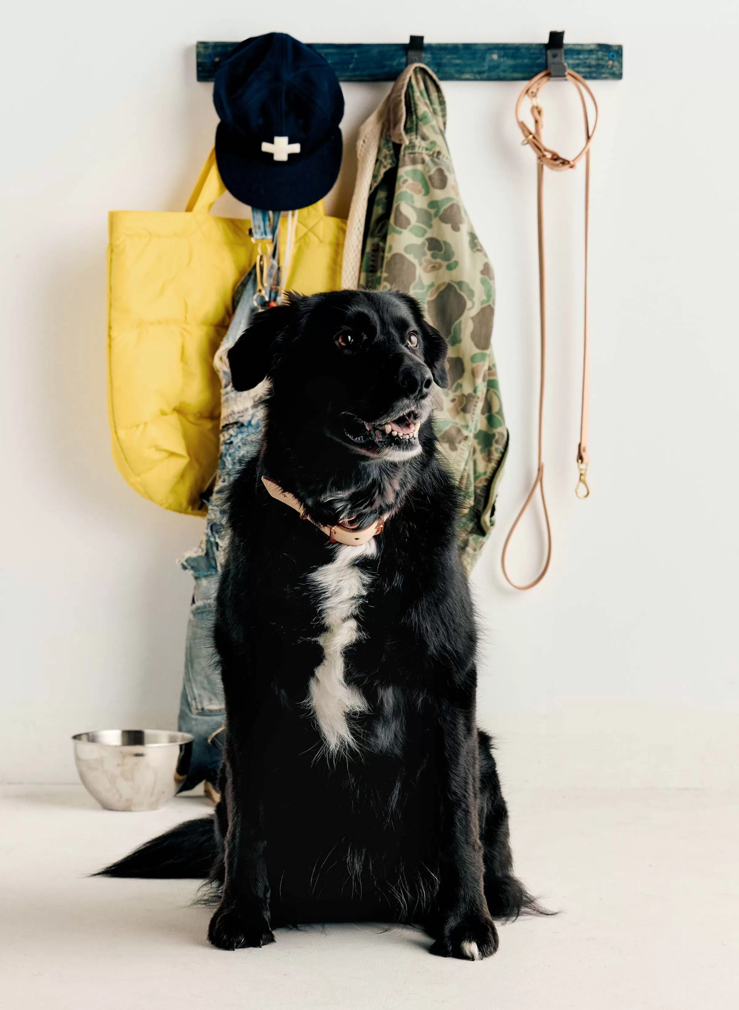 imogene + willie Emil Erwin X I+w Dog Leash Flash Sale