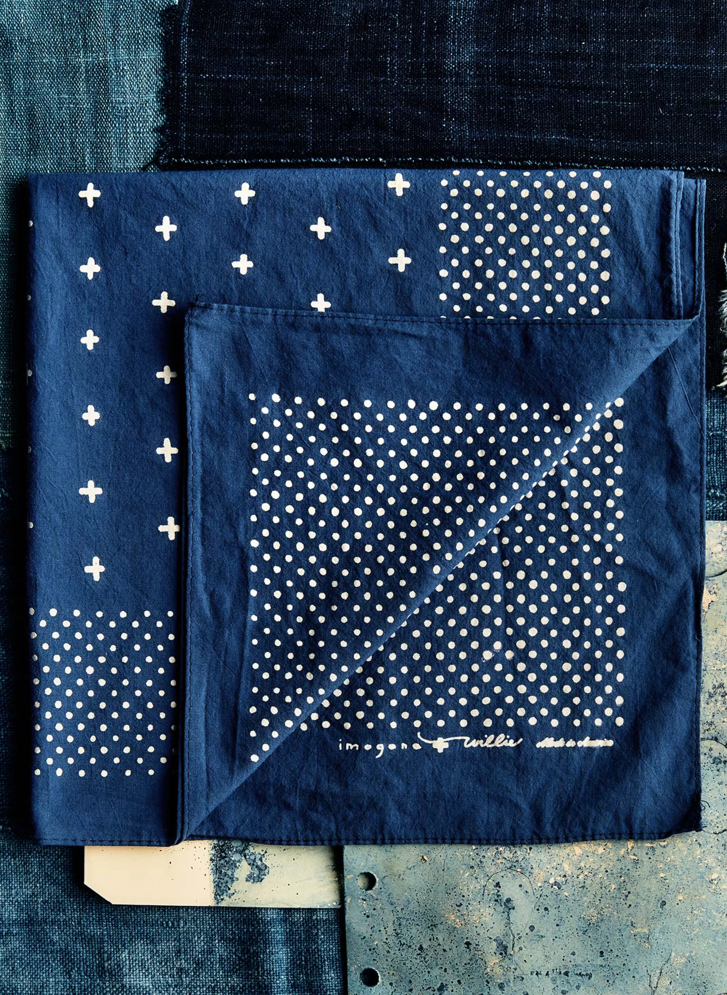 imogene + willie I+w Vintage Blue Bandana Discount