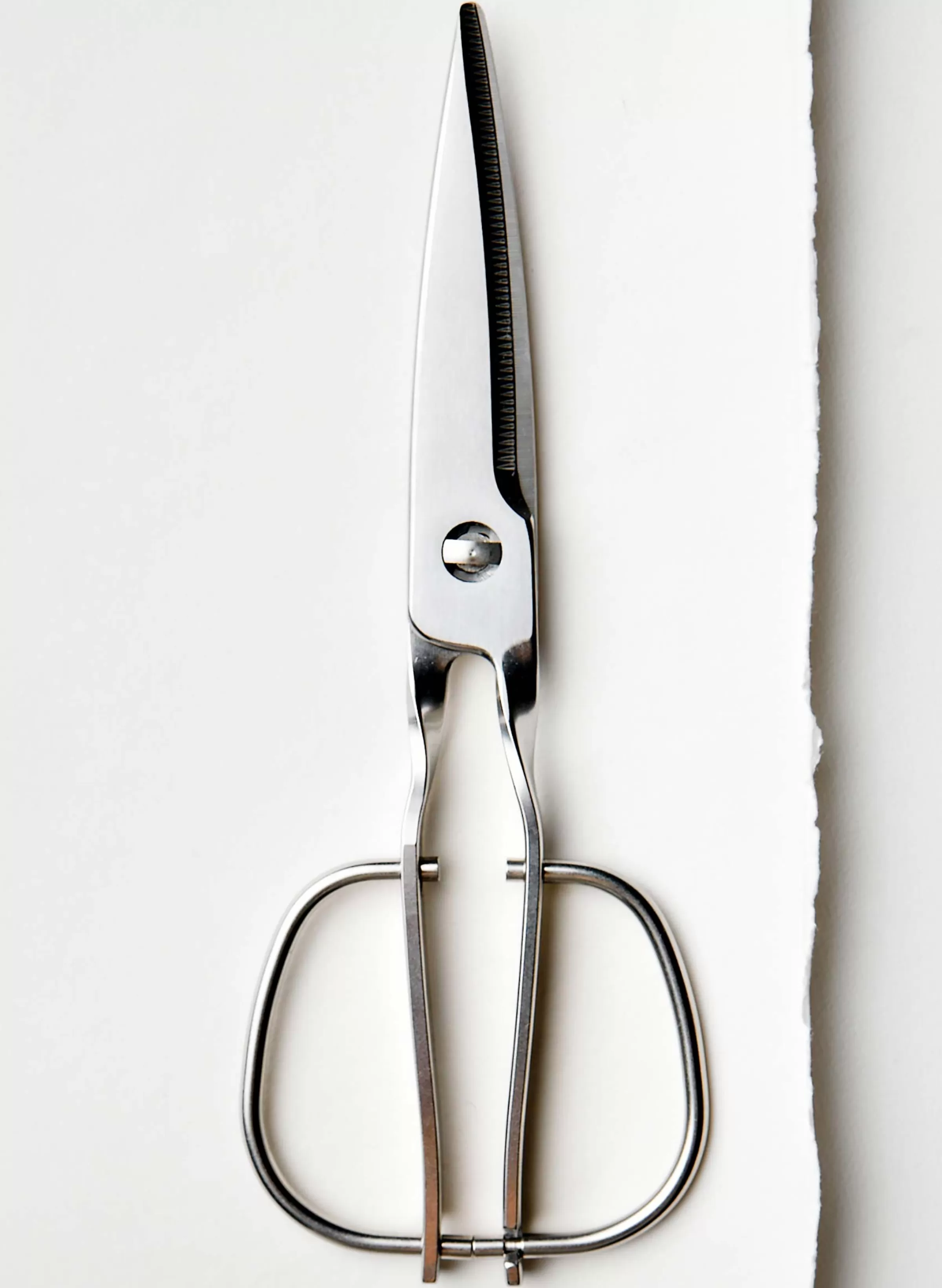 imogene + willie Japanese Stainless Steel Kitchen Shears Sale