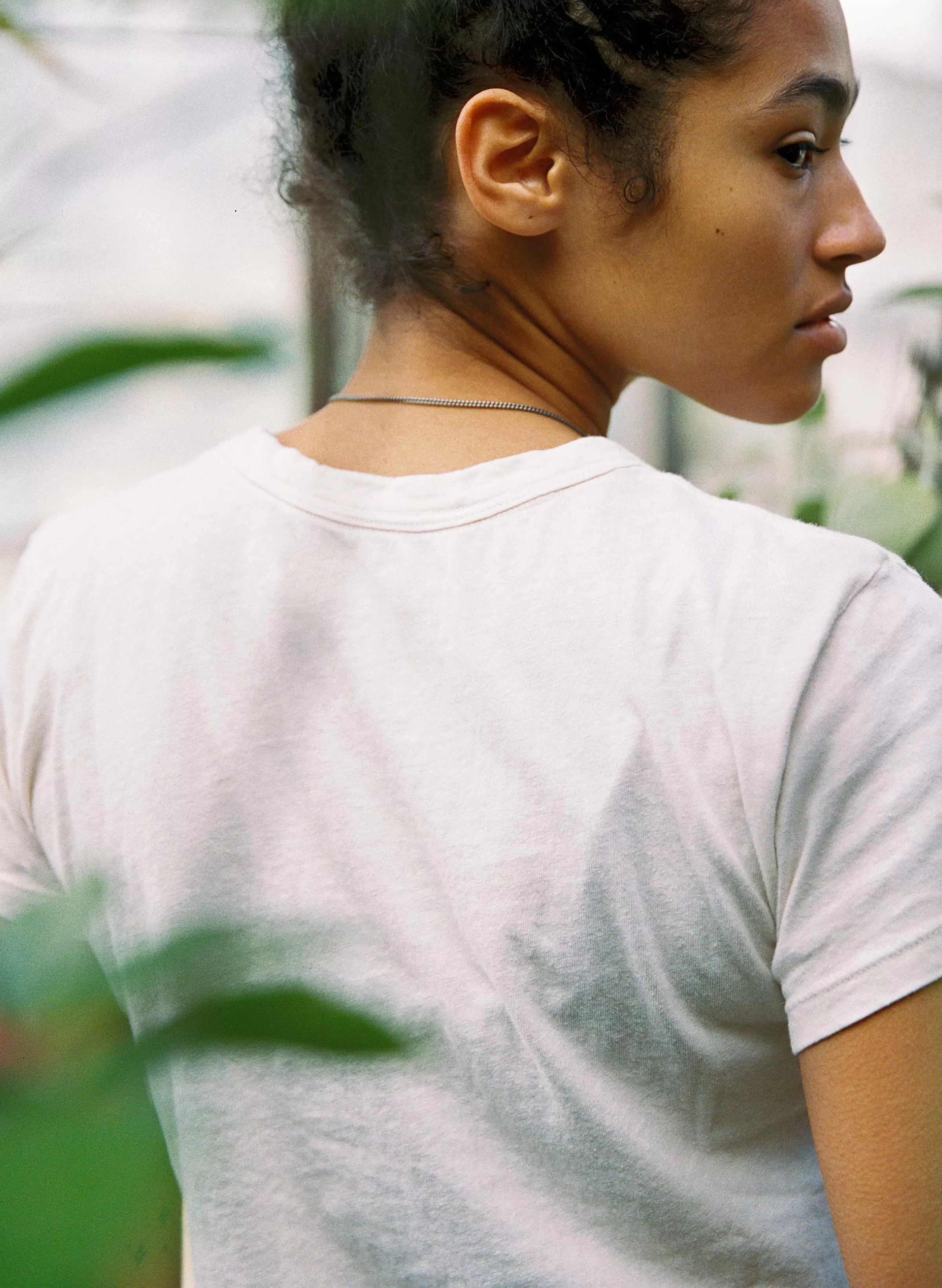 imogene + willie The Drop Tee In Vintage White Cheap