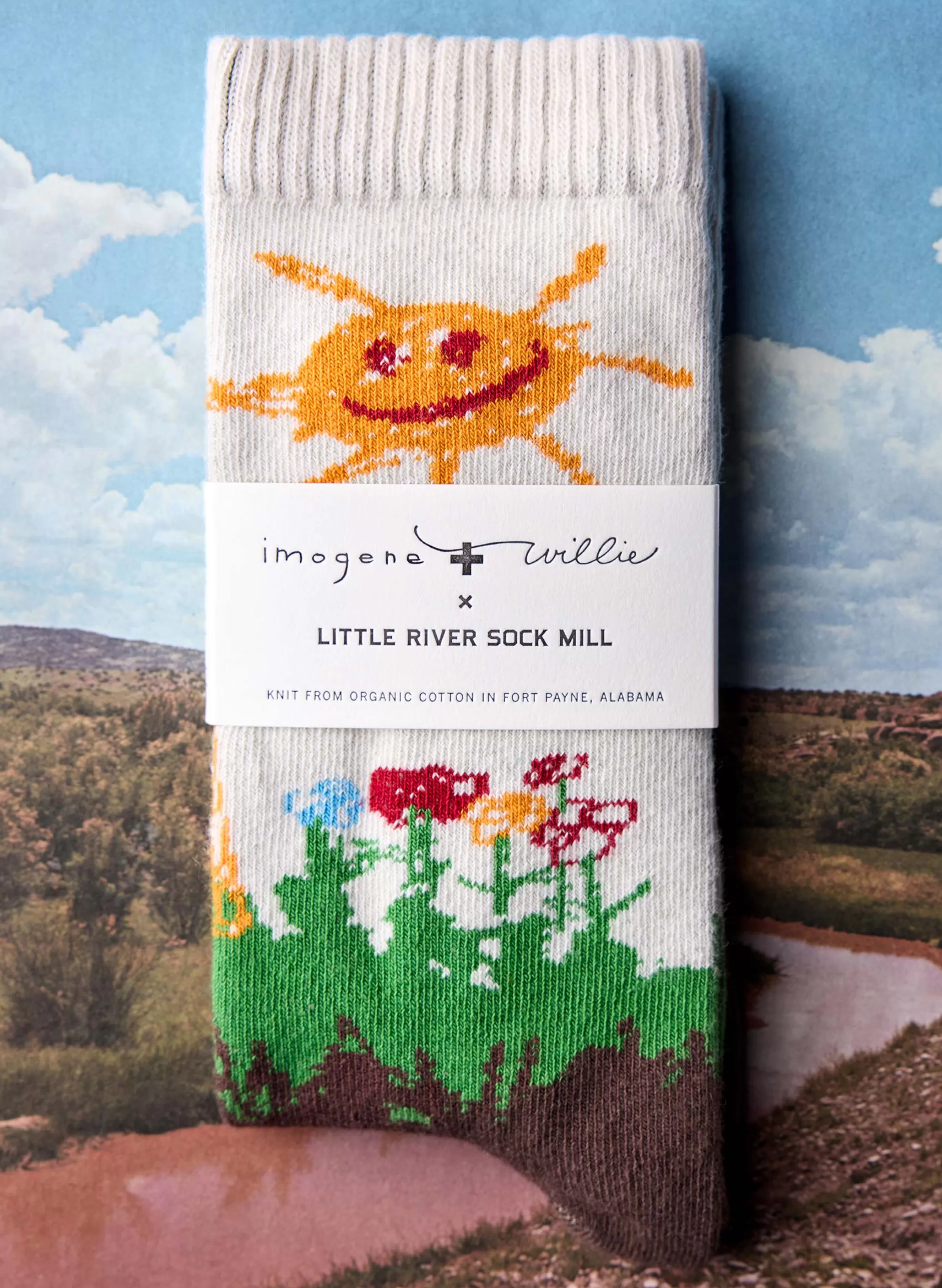 imogene + willie The "home Sweet Home" Sock Outlet