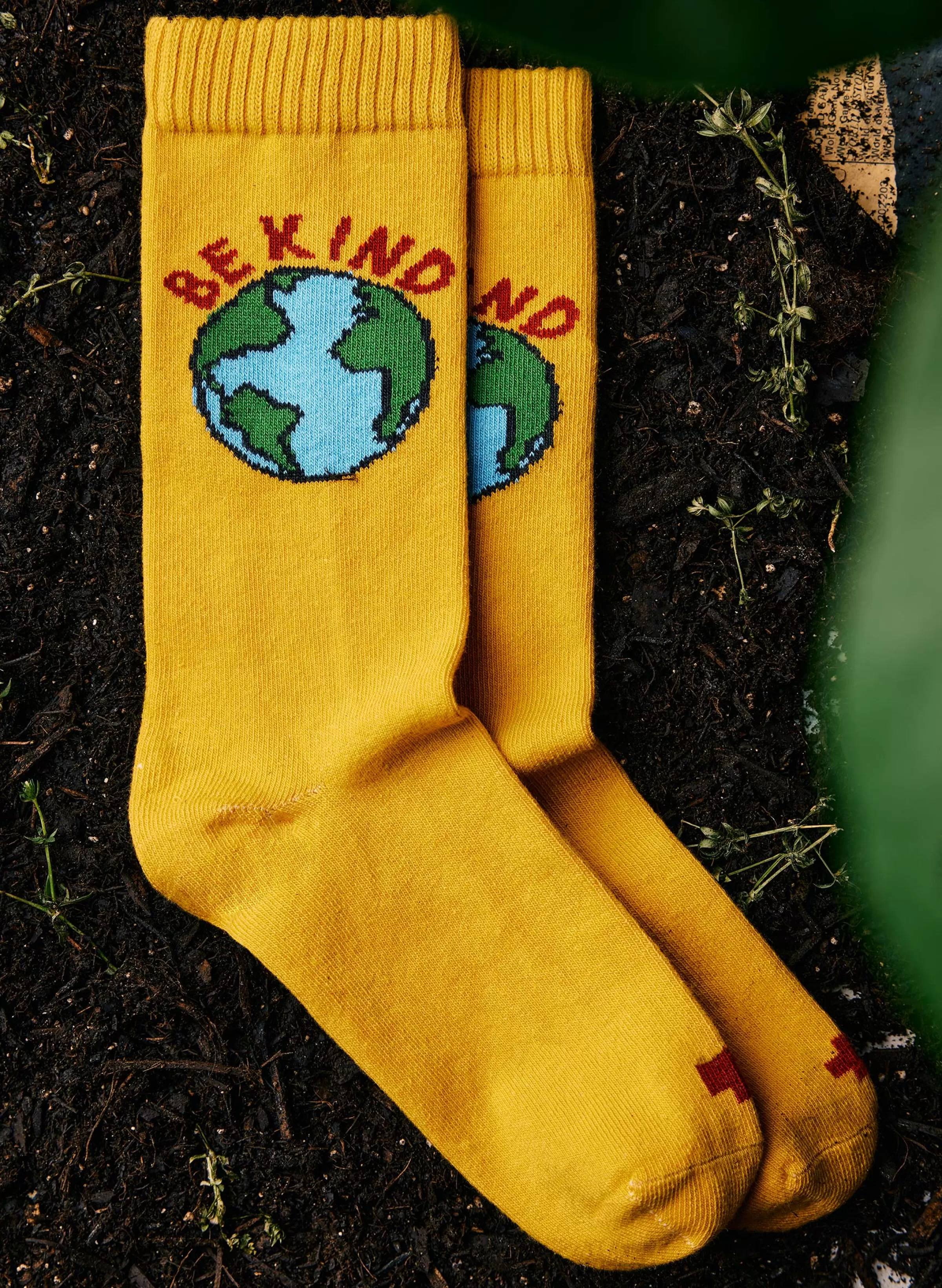 imogene + willie The "mother Earth" Sock Clearance